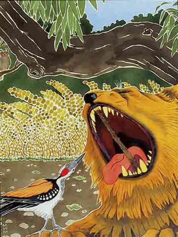 
The Woodpecker And The lion illustration - Buddhist Animal Wisdom Stories book
